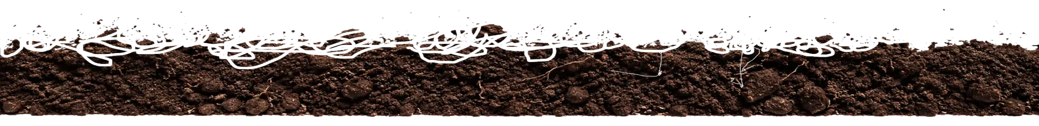 Soil layer